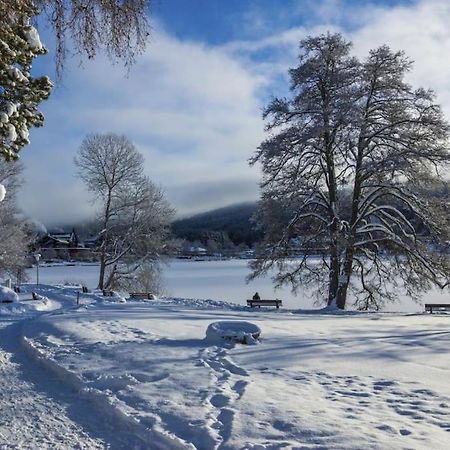 Waldblick Titisee المظهر الخارجي الصورة