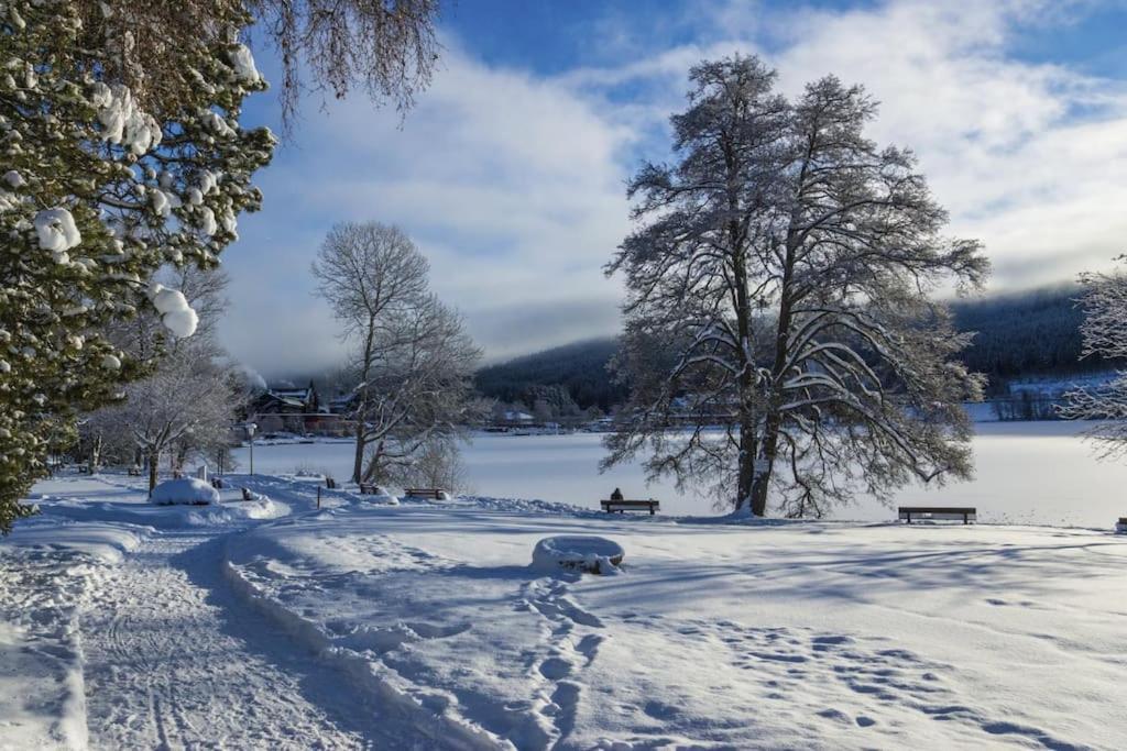 Waldblick Titisee المظهر الخارجي الصورة