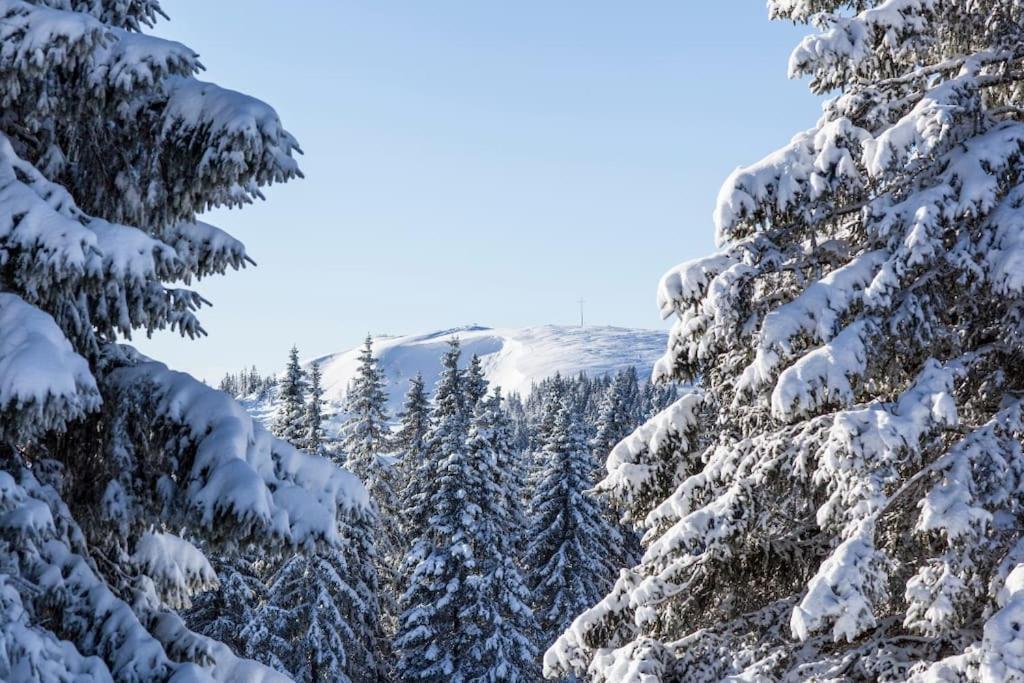 Waldblick Titisee المظهر الخارجي الصورة