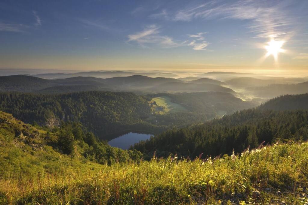 Waldblick Titisee المظهر الخارجي الصورة