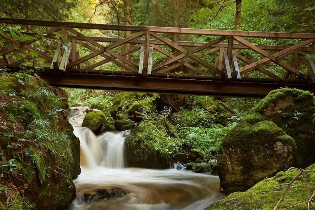 Waldblick Titisee المظهر الخارجي الصورة