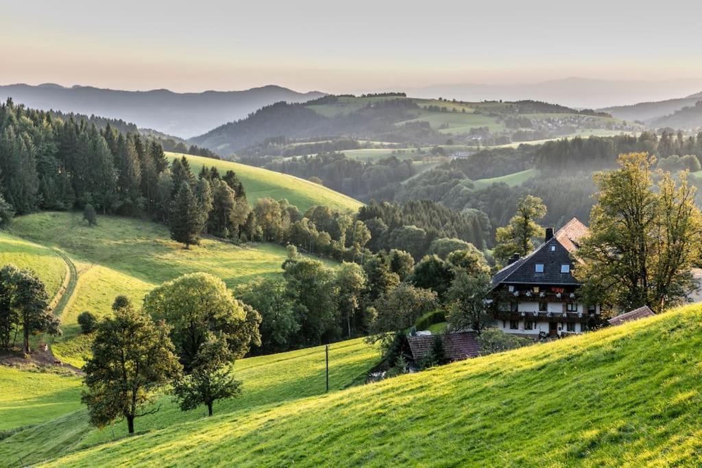 Waldblick Titisee المظهر الخارجي الصورة