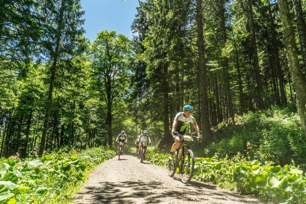 Waldblick Titisee المظهر الخارجي الصورة