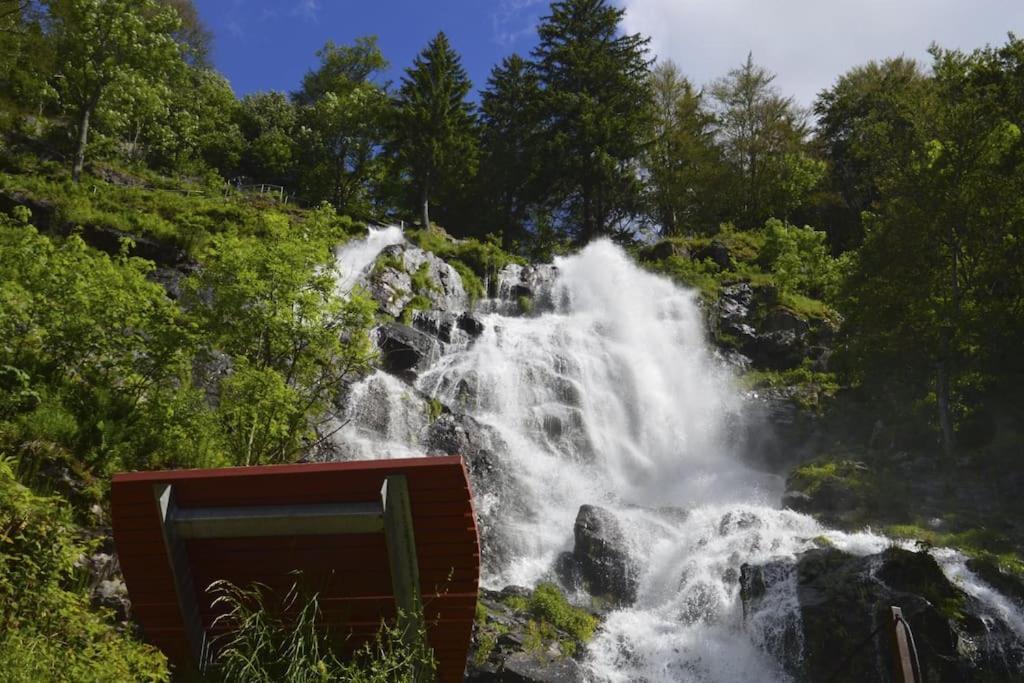 Waldblick Titisee المظهر الخارجي الصورة